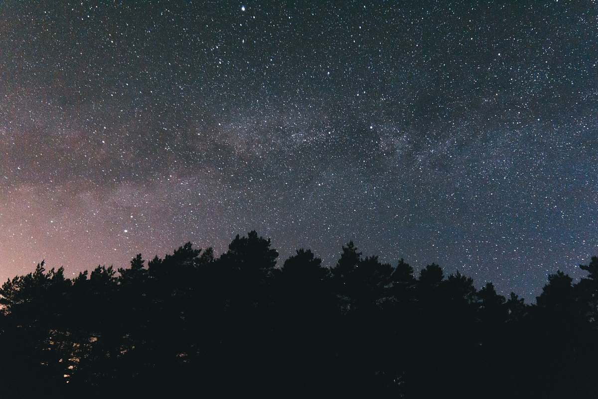 milky way closeup photo of trees during night time outdoors